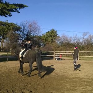 cours particuliers d'équitation à Villeneuve-lès-Maguelone