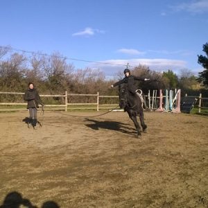 cours collectifs d'équitation proche Montpellier